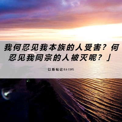 Picture 06 - 以 斯 帖 记 8:6 CUVS - 我 何 忍 见 我 本 族 的 人 受 害 ？ - Bible Verse Picture