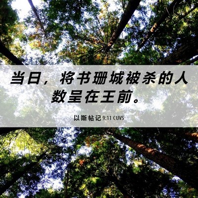 Picture 06 - 以 斯 帖 记 9:11 CUVS - 当 日 ， 将 书 珊 城 被 杀 的 人 数 - Bible Verse Picture