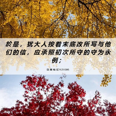Picture 06 - 以 斯 帖 记 9:23 CUVS - 於 是 ， 犹 大 人 按 着 末 底 改 所 - Bible Verse Picture