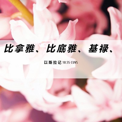 Picture 06 - 以 斯 拉 记 10:35 CUVS - 比 拿 雅 、 比 底 雅 、 基 禄 - Bible Verse Picture