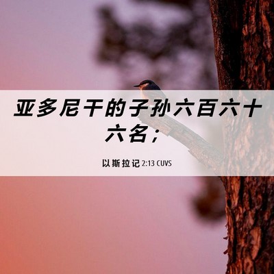 Picture 06 - 以 斯 拉 记 2:13 CUVS - 亚 多 尼 干 的 子 孙 六 百 六 十 六 - Bible Verse Picture