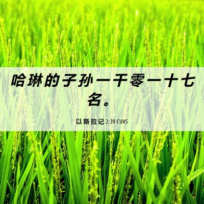 Picture 06 - 以 斯 拉 记 2:39 CUVS - 哈 琳 的 子 孙 一 千 零 一 十 七 名 - Bible Verse Picture