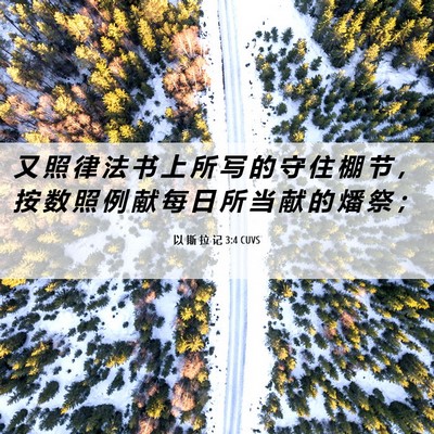 Picture 06 - 以 斯 拉 记 3:4 CUVS - 又 照 律 法 书 上 所 写 的 守 住 棚 - Bible Verse Picture