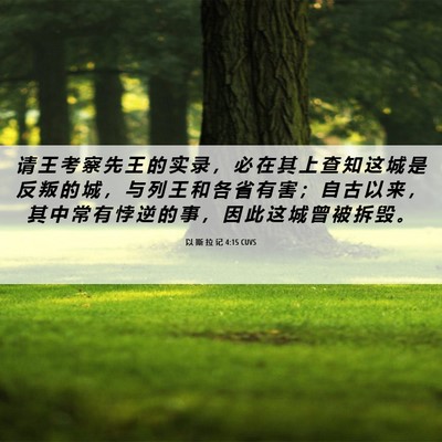 Picture 06 - 以 斯 拉 记 4:15 CUVS - 请 王 考 察 先 王 的 实 录 ， 必 在 - Bible Verse Picture