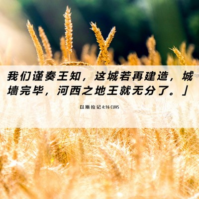 Picture 06 - 以 斯 拉 记 4:16 CUVS - 我 们 谨 奏 王 知 ， 这 城 若 再 建 - Bible Verse Picture
