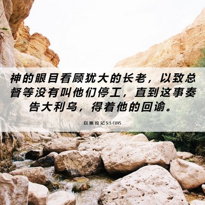 Picture 06 - 以 斯 拉 记 5:5 CUVS - 神 的 眼 目 看 顾 犹 大 的 长 老 ， - Bible Verse Picture
