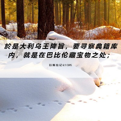 Picture 06 - 以 斯 拉 记 6:1 CUVS - 於 是 大 利 乌 王 降 旨 ， 要 寻 察 - Bible Verse Picture