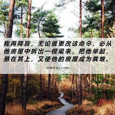 Picture 06 - 以 斯 拉 记 6:11 CUVS - 我 再 降 旨 ， 无 论 谁 更 改 这 命 - Bible Verse Picture