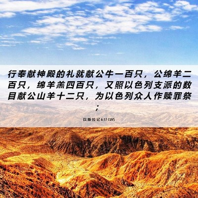 Picture 06 - 以 斯 拉 记 6:17 CUVS - 行 奉 献 神 殿 的 礼 就 献 公 牛 一 - Bible Verse Picture