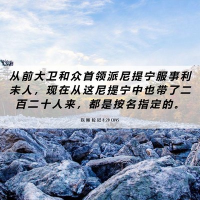 Picture 06 - 以 斯 拉 记 8:20 CUVS - 从 前 大 卫 和 众 首 领 派 尼 提 宁 - Bible Verse Picture