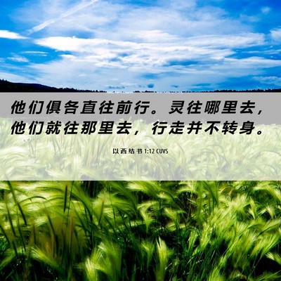 Picture 06 - 以 西 结 书 1:12 CUVS - 他 们 俱 各 直 往 前 行 。 灵 往 哪 - Bible Verse Picture