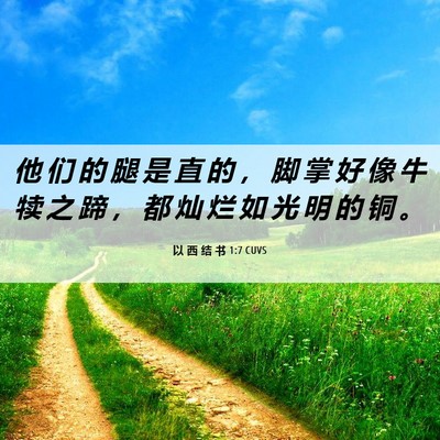 Picture 06 - 以 西 结 书 1:7 CUVS - 他 们 的 腿 是 直 的 ， 脚 掌 好 像 - Bible Verse Picture