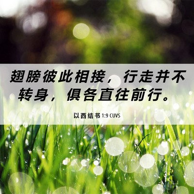 Picture 06 - 以 西 结 书 1:9 CUVS - 翅 膀 彼 此 相 接 ， 行 走 并 不 转 - Bible Verse Picture