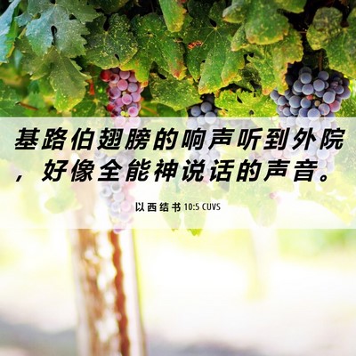 Picture 06 - 以 西 结 书 10:5 CUVS - 基 路 伯 翅 膀 的 响 声 听 到 外 院 - Bible Verse Picture