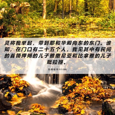 Picture 06 - 以 西 结 书 11:1 CUVS - 灵 将 我 举 起 ， 带 到 耶 和 华 殿 - Bible Verse Picture