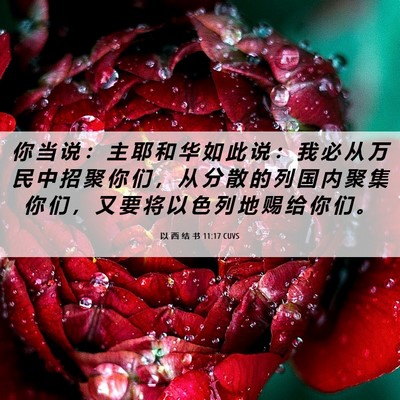 Picture 06 - 以 西 结 书 11:17 CUVS - 你 当 说 ： 主 耶 和 华 如 此 说 ： - Bible Verse Picture