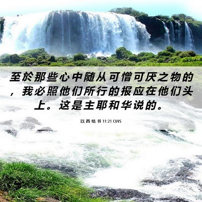 Picture 06 - 以 西 结 书 11:21 CUVS - 至 於 那 些 心 中 随 从 可 憎 可 厌 - Bible Verse Picture
