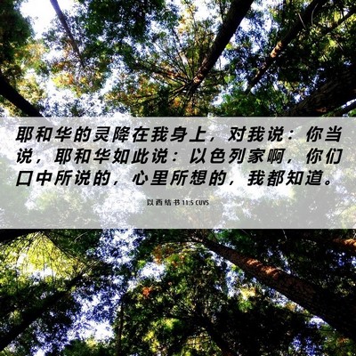 Picture 06 - 以 西 结 书 11:5 CUVS - 耶 和 华 的 灵 降 在 我 身 上 ， 对 - Bible Verse Picture