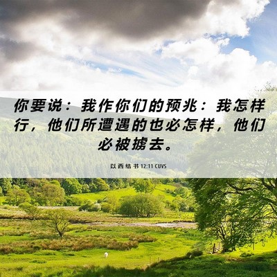 Picture 06 - 以 西 结 书 12:11 CUVS - 你 要 说 ： 我 作 你 们 的 预 兆 ： - Bible Verse Picture