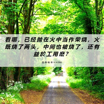 Picture 06 - 以 西 结 书 15:4 CUVS - 看 哪 ， 已 经 抛 在 火 中 当 作 柴 - Bible Verse Picture