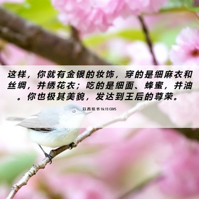Picture 06 - 以 西 结 书 16:13 CUVS - 这 样 ， 你 就 有 金 银 的 妆 饰 ， - Bible Verse Picture