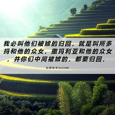 Picture 06 - 以 西 结 书 16:53 CUVS - 我 必 叫 他 们 被 掳 的 归 回 ， 就 - Bible Verse Picture