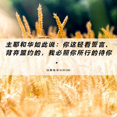 Picture 06 - 以 西 结 书 16:59 CUVS - 主 耶 和 华 如 此 说 ： 你 这 轻 看 - Bible Verse Picture