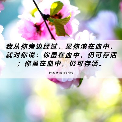 Picture 06 - 以 西 结 书 16:6 CUVS - 我 从 你 旁 边 经 过 ， 见 你 滚 在 - Bible Verse Picture