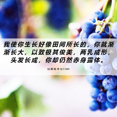 Picture 06 - 以 西 结 书 16:7 CUVS - 我 使 你 生 长 好 像 田 间 所 长 的 - Bible Verse Picture