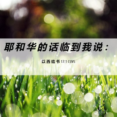 Picture 06 - 以 西 结 书 17:1 CUVS - 耶 和 华 的 话 临 到 我 说 - Bible Verse Picture