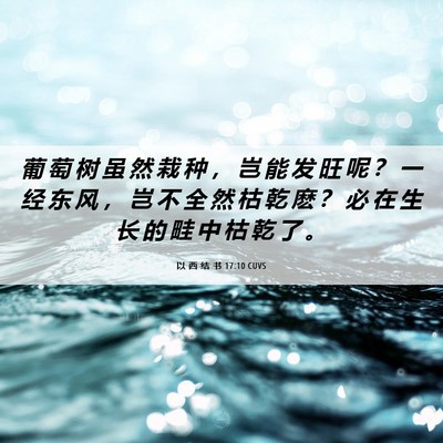 Picture 06 - 以 西 结 书 17:10 CUVS - 葡 萄 树 虽 然 栽 种 ， 岂 能 发 旺 - Bible Verse Picture
