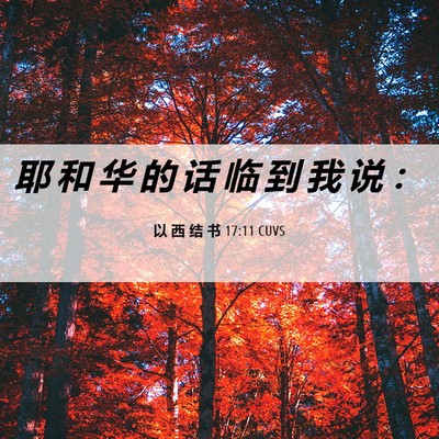 Picture 06 - 以 西 结 书 17:11 CUVS - 耶 和 华 的 话 临 到 我 说 - Bible Verse Picture