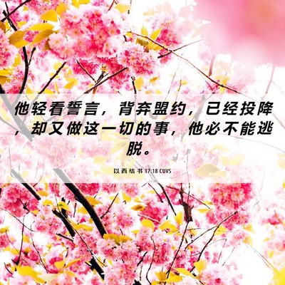 Picture 06 - 以 西 结 书 17:18 CUVS - 他 轻 看 誓 言 ， 背 弃 盟 约 ， 已 - Bible Verse Picture