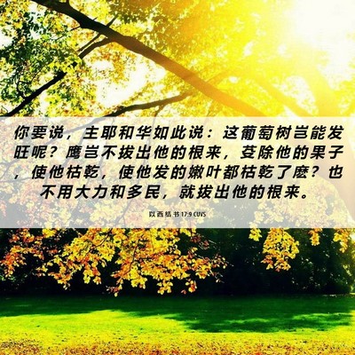 Picture 06 - 以 西 结 书 17:9 CUVS - 你 要 说 ， 主 耶 和 华 如 此 说 ： - Bible Verse Picture
