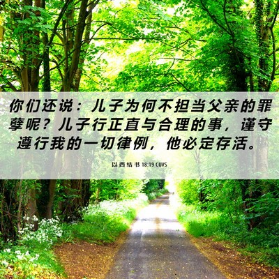 Picture 06 - 以 西 结 书 18:19 CUVS - 你 们 还 说 ： 儿 子 为 何 不 担 当 - Bible Verse Picture