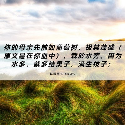 Picture 06 - 以 西 结 书 19:10 CUVS - 你 的 母 亲 先 前 如 葡 萄 树 ， 极 - Bible Verse Picture