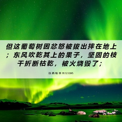 Picture 06 - 以 西 结 书 19:12 CUVS - 但 这 葡 萄 树 因 忿 怒 被 拔 出 摔 - Bible Verse Picture