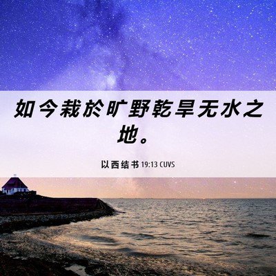 Picture 06 - 以 西 结 书 19:13 CUVS - 如 今 栽 於 旷 野 乾 旱 无 水 之 地 - Bible Verse Picture