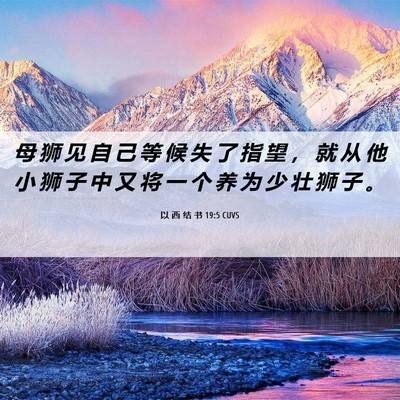 Picture 06 - 以 西 结 书 19:5 CUVS - 母 狮 见 自 己 等 候 失 了 指 望 ， - Bible Verse Picture