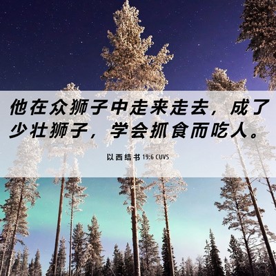 Picture 06 - 以 西 结 书 19:6 CUVS - 他 在 众 狮 子 中 走 来 走 去 ， 成 - Bible Verse Picture