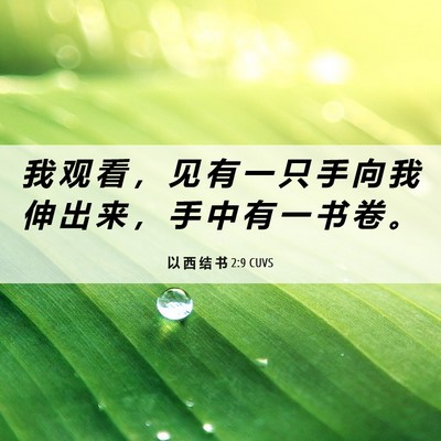 Picture 06 - 以 西 结 书 2:9 CUVS - 我 观 看 ， 见 有 一 只 手 向 我 伸 - Bible Verse Picture
