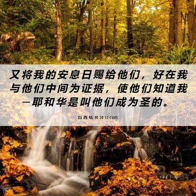 Picture 06 - 以 西 结 书 20:12 CUVS - 又 将 我 的 安 息 日 赐 给 他 们 ， - Bible Verse Picture