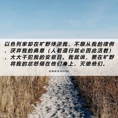 Picture 06 - 以 西 结 书 20:13 CUVS - 以 色 列 家 却 在 旷 野 悖 逆 我 ， - Bible Verse Picture