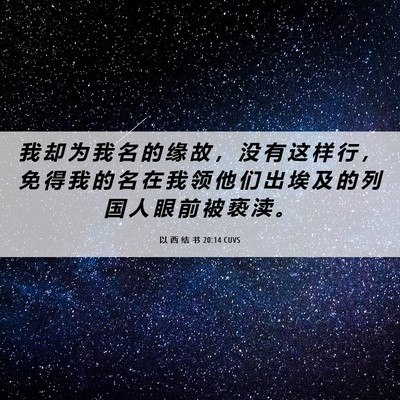 Picture 06 - 以 西 结 书 20:14 CUVS - 我 却 为 我 名 的 缘 故 ， 没 有 这 - Bible Verse Picture