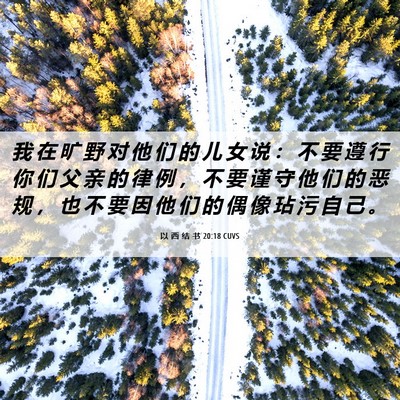 Picture 06 - 以 西 结 书 20:18 CUVS - 我 在 旷 野 对 他 们 的 儿 女 说 ： - Bible Verse Picture