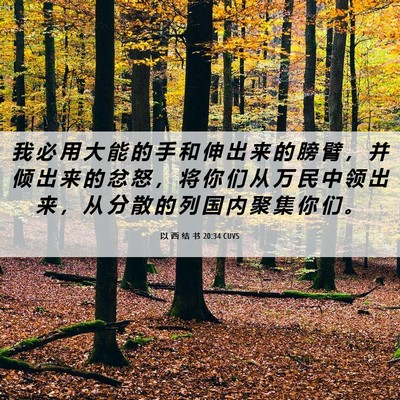 Picture 06 - 以 西 结 书 20:34 CUVS - 我 必 用 大 能 的 手 和 伸 出 来 的 - Bible Verse Picture