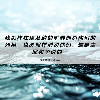 Picture 06 - 以 西 结 书 20:36 CUVS - 我 怎 样 在 埃 及 地 的 旷 野 刑 罚 - Bible Verse Picture