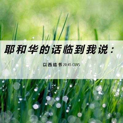 Picture 06 - 以 西 结 书 20:45 CUVS - 耶 和 华 的 话 临 到 我 说 - Bible Verse Picture