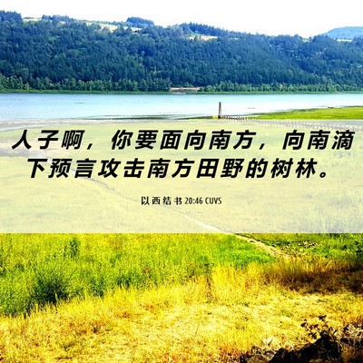 Picture 06 - 以 西 结 书 20:46 CUVS - 人 子 啊 ， 你 要 面 向 南 方 ， 向 - Bible Verse Picture