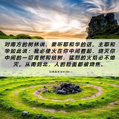 Picture 06 - 以 西 结 书 20:47 CUVS - 对 南 方 的 树 林 说 ， 要 听 耶 和 - Bible Verse Picture